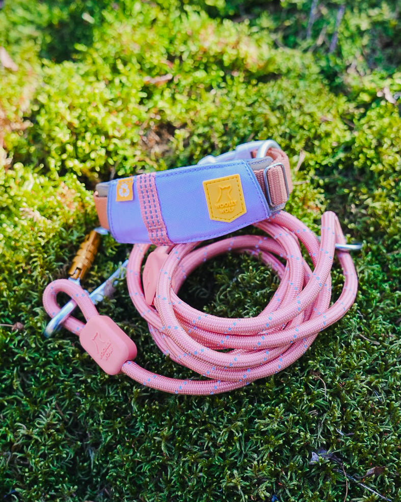 WW Alpha 360 Collar Lavender Mix