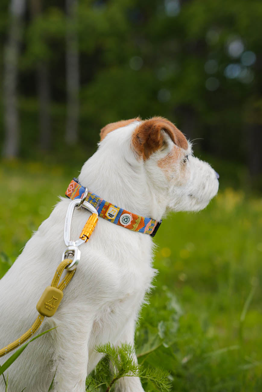 WW Rope Leash Pistachio 10mm