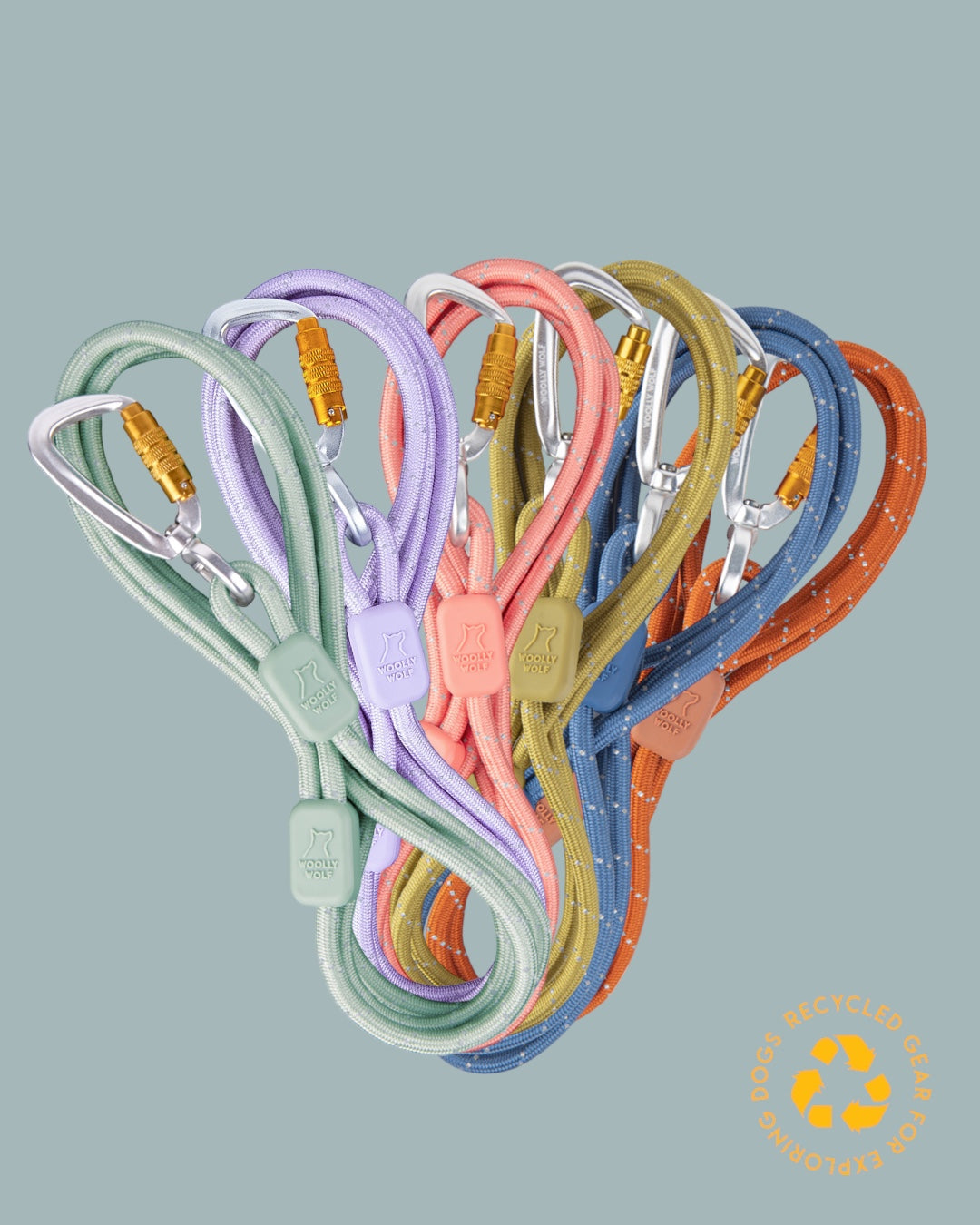 WW Rope Leash Thin Terracotta 8mm