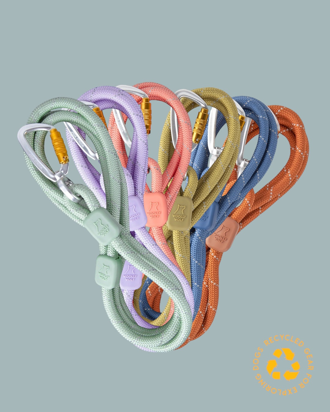 WW Rope Leash Pigeon Blue 10mm