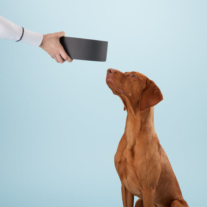 PAIKKA Slowfeed Bowl