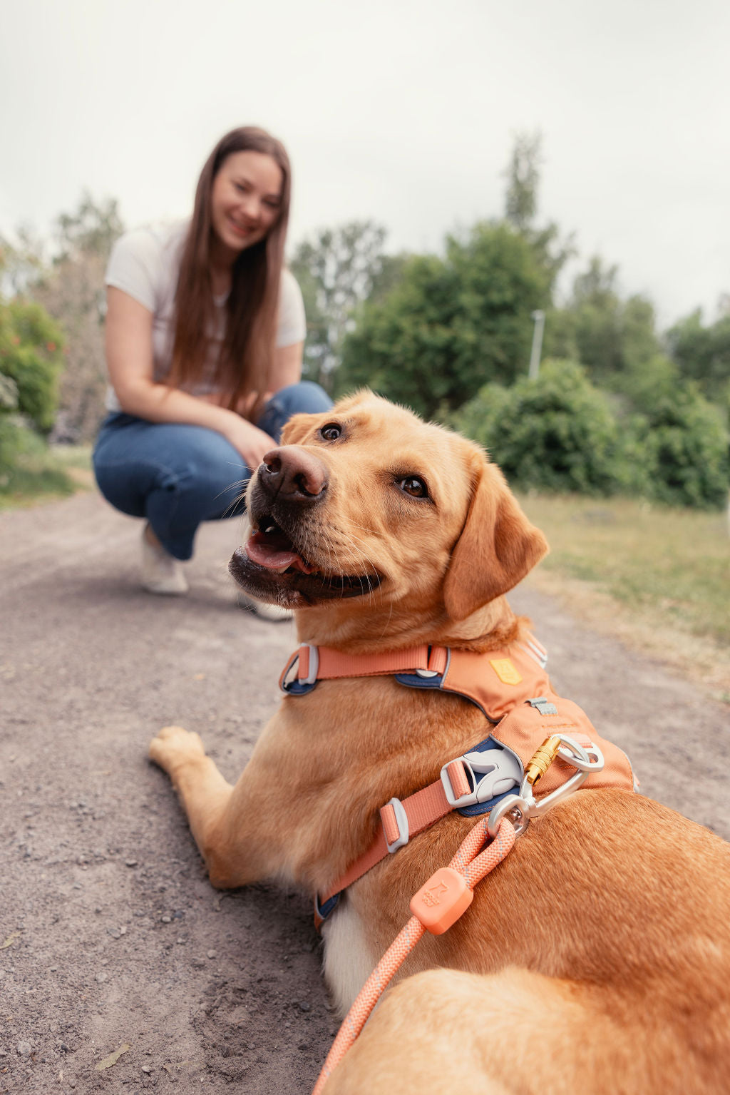 WW Alpha 360 Harness Golden Hour Mix