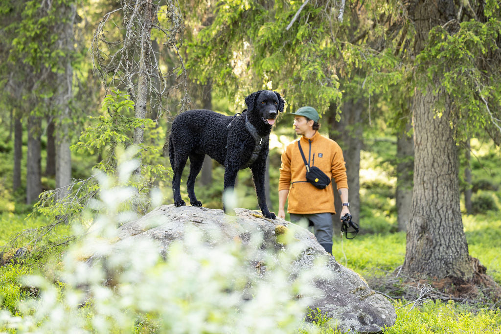 WW Roam Harness Black Ripple