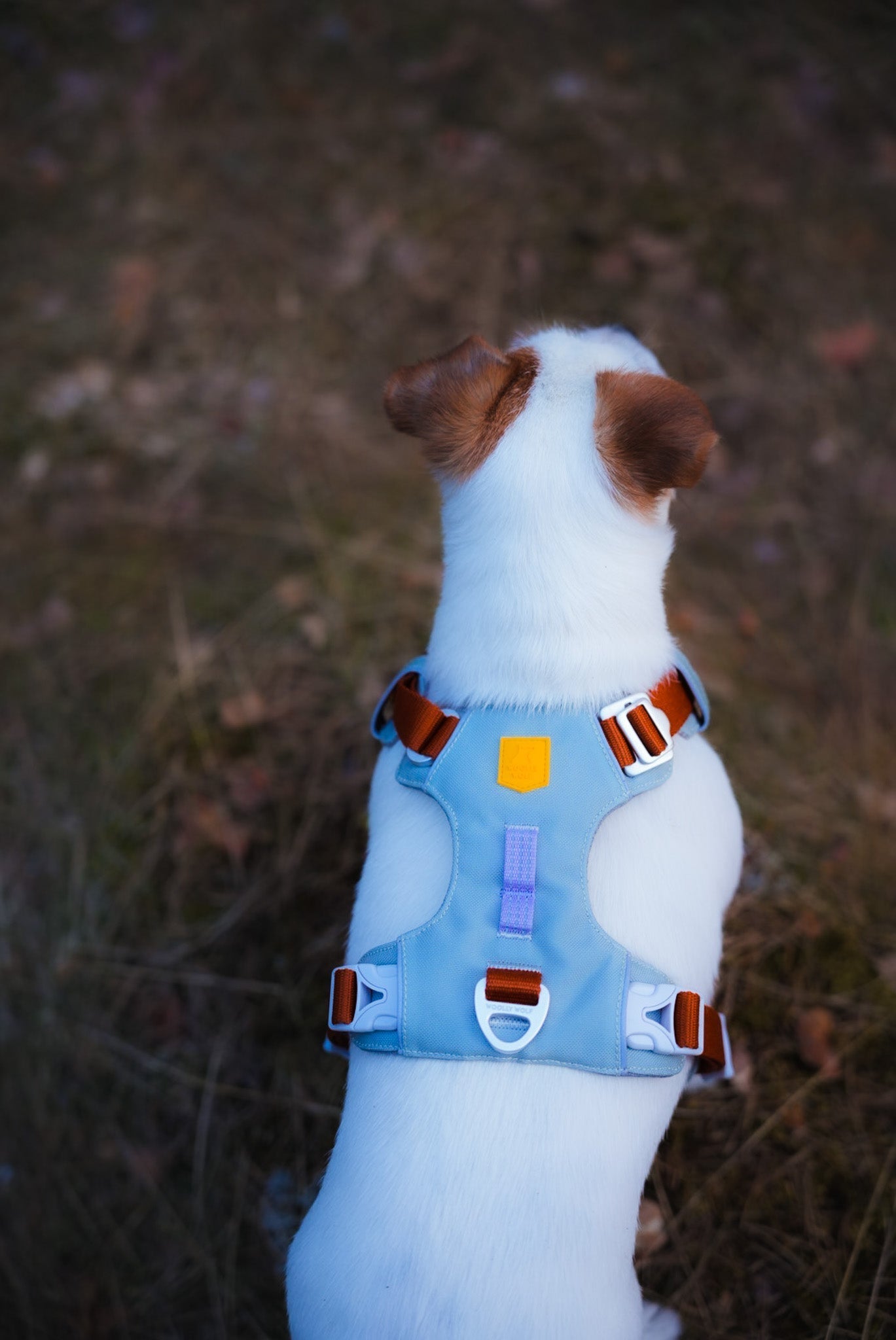 WW Alpha 360 Harness Glacier Green Mix