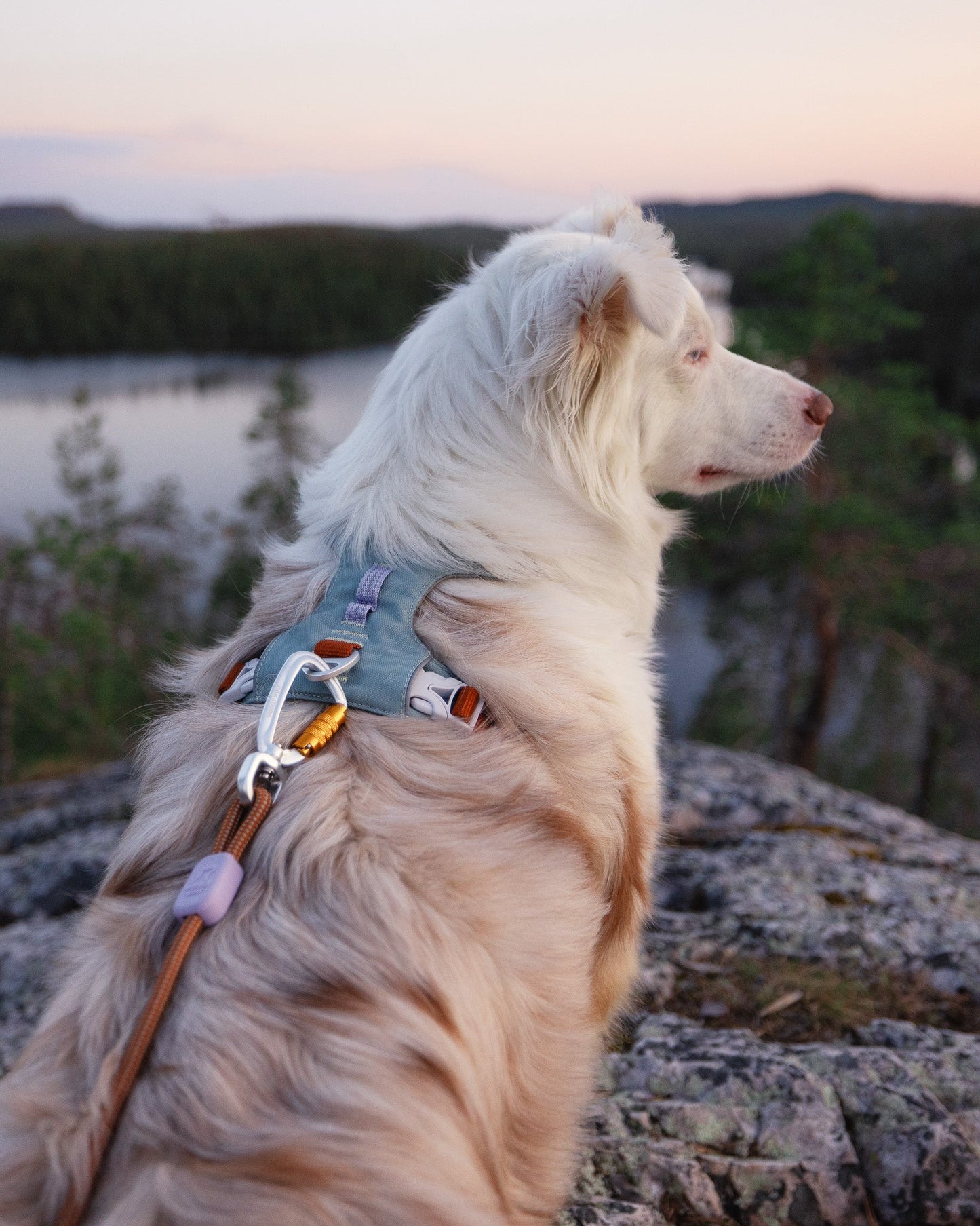 WW Alpha 360 Harness Glacier Green Mix