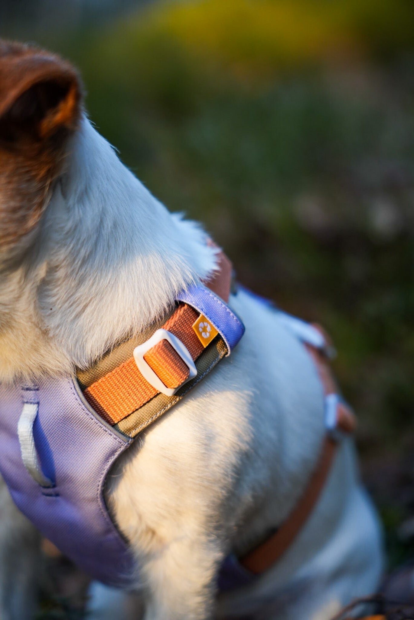 WW Alpha 360 Harness Lavender Mix