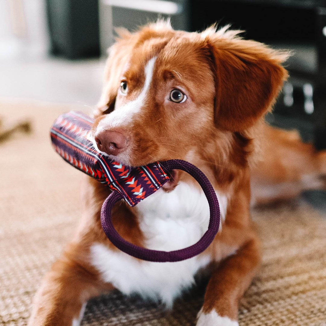 WW Floaty Fetch Toy, Polar Night