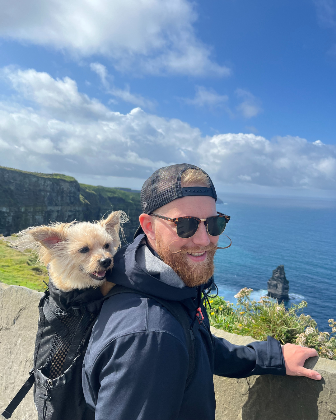 Rejs med Lucky til Irland – Cliff of Moher & The Burren