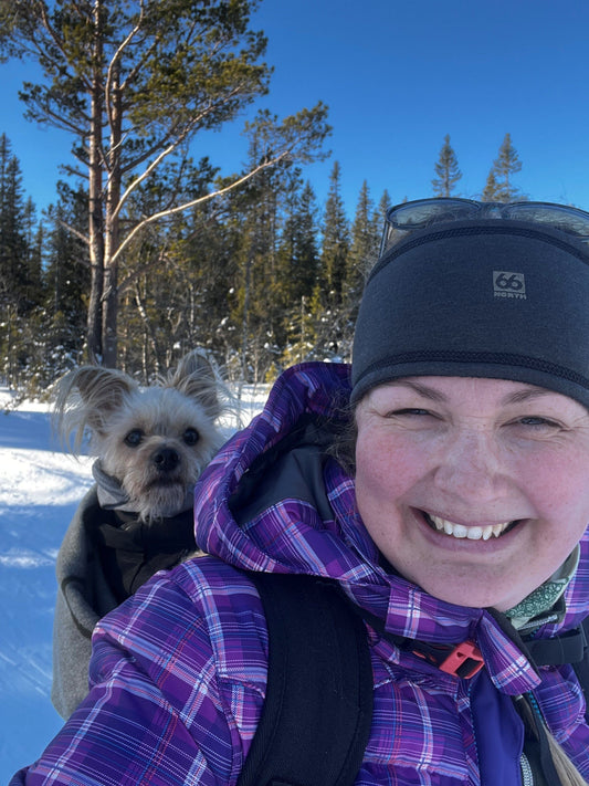 Rejs til Norge på ski med din hund – rejsetips fra Lucky og Whitby