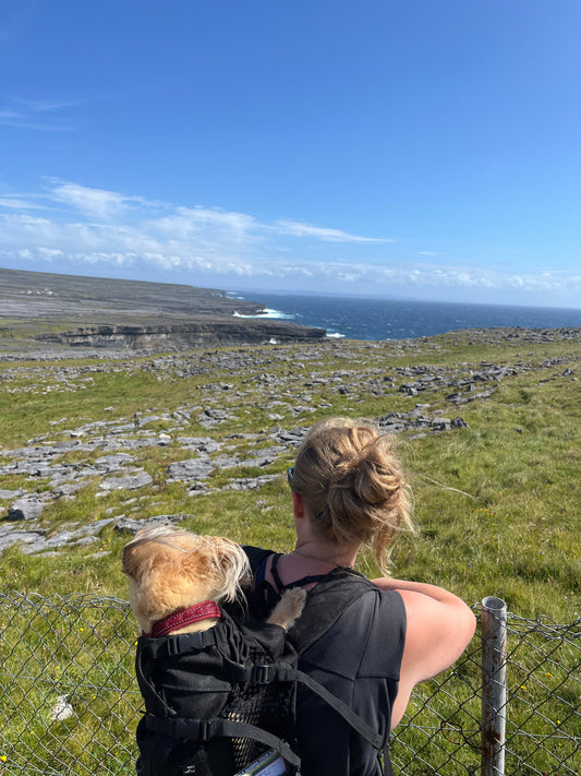 Rejs med Lucky til Irland – Aran-øerne, Inis Mór