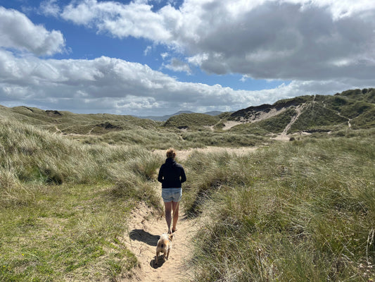 Rejs med Lucky til Irland - Del 3: Den grønne ø, Irland – med hund ☘️🐾