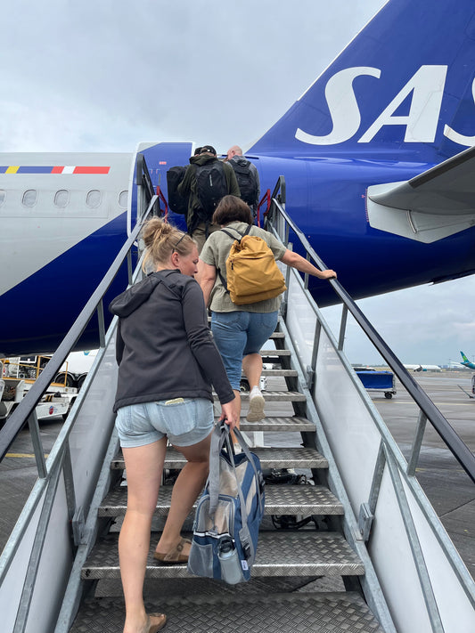 Rejs med Lucky til Irland – Del 2: Afrejsedagen ✈🐾