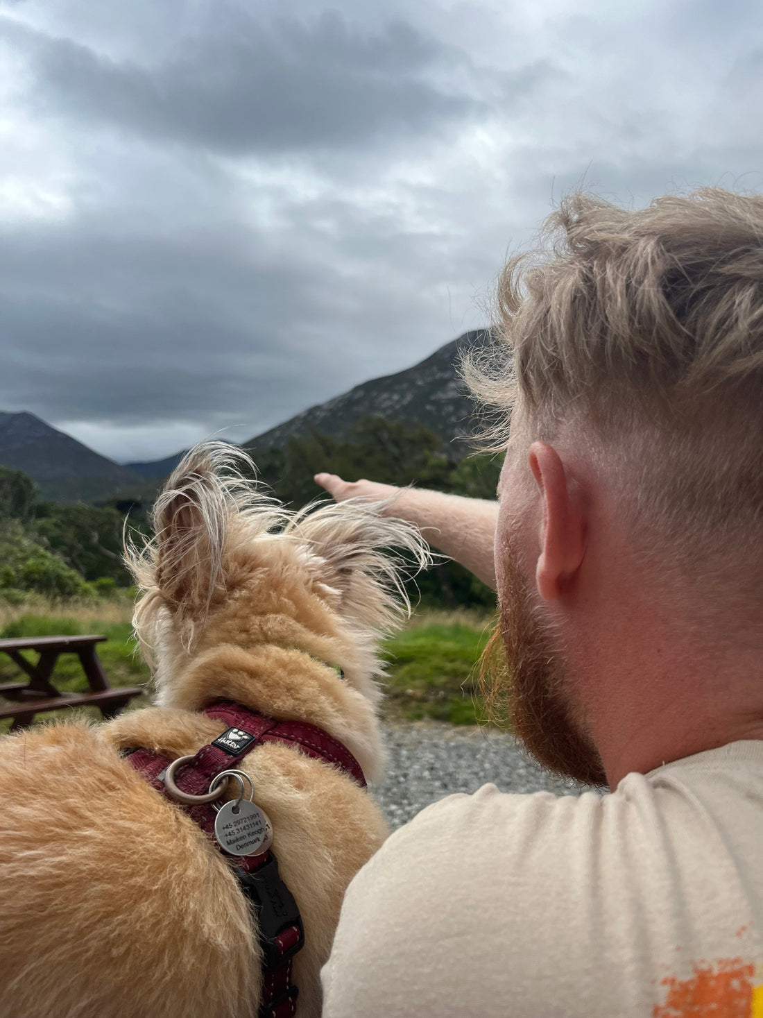 Rejs med Lucky til Irland – Connemara & Kylemore Abbey