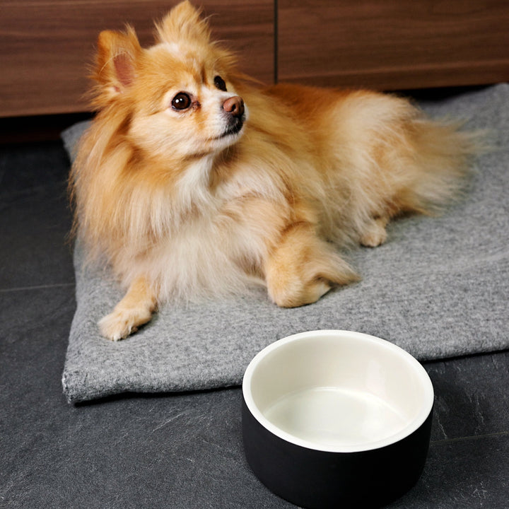 PAIKKA COOL BOWL