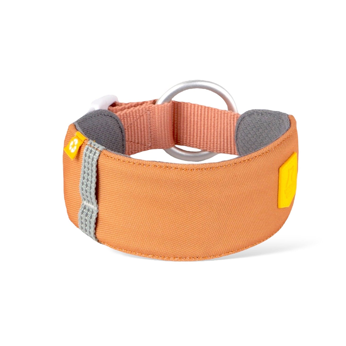WW Alpha 360 Collar Golden Hour Mix