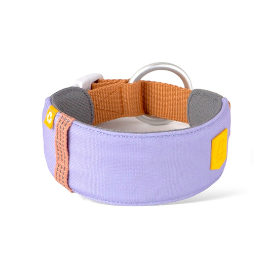 WW Alpha 360 Collar Lavender Mix