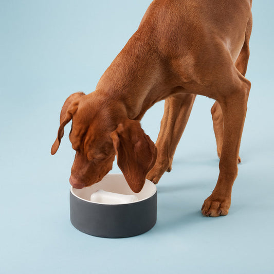 PAIKKA Slowfeed Bowl