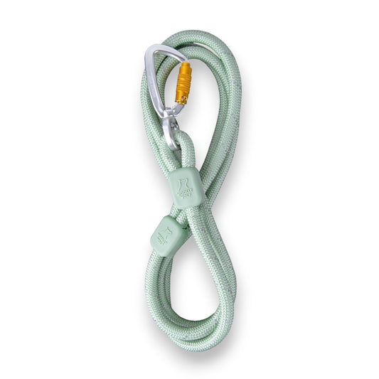 WW Rope Leash Glacier Green 10mm