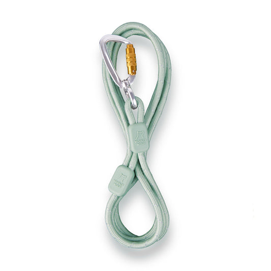 WW Rope Leash Thin Glacier Green 8mm