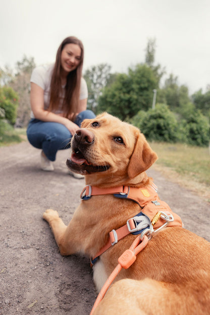 WW Alpha 360 Harness Golden Hour Mix