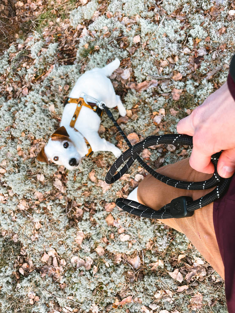 WW Rope Leash Thin Black 8mm